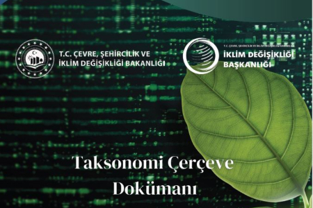 "Taksonomi Çerçeve Dokümanı" yayımlandı.