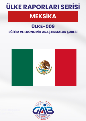 Ülke-009 Meksika Ülke Raporu